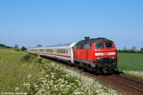 218 456-2 bei Gro�enbrode am 24.05.07.