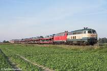 218 320-0+218 362-2 bei Friedrichsstadt am 24.09.06.