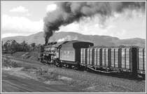 Ein Teil des Frachtgutes dient auch der Fortbewegung und ist deshalb ein besonders g�nstiger Treibstoff.(Archiv 04/1981)