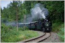 Dampflok  Klaus  (298.106) mit einem Sonderzug von Steyr nach Gr�nburg, anl�sslich der Feierlichkeiten 120 Jahre Steyrtalbahn, aufgenommen kurz vor Gr�nburg am 6.9.2009.