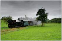 Der erste Zug anl�ssich der Feierlichkeiten 120 Jahre Steyrtalbahn von Gr�nburg nach Steyr war am 6.9.2009 mit 298.102 bespannt. Die Aufnahme zeigt den Zug n�chst Aschach a.D. Steyr.