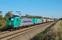 185 543 R4C war am 25.09.2009 an der Spitze eines Getreidezuges Richtung Wien. Die Aufnahme entstand kurz vor Parndorf, um 16:20.