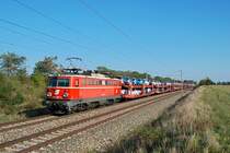 Irgenwie unverw�stlich, diese 1042 007 ! Am 25.09.2009 bef�rdert sie einen Suzuki-Autoganzzug Richtung Wien. Die Aufnahme ist in der N�he von Parndorf entstanden.