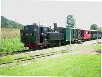 Die 699.101 ist gerade mit einem Zug aus Treibach-Althofen in P�ckstein-Zwischenw�ssern angekommen.