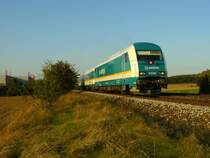 Hier 223 065 mit dem Alex von Schwandorf nach M�nchen. Letzter halt war vermutlicht Regensburg. 25.09.2009 Laub