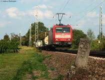 185 042-8 mit einem KLV -> Norden  am km 59,9 14.8.09