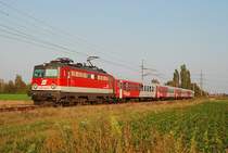 1142 680 brachte am 28.09.2009 den REX 9312 von Stockerau nach Gm�nd N�. Die Aufnahme entstand zwischen Stockerau und Hausleiten.