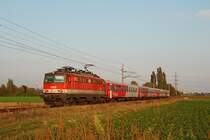 1142 646 brachte am 28.09.2009 den ER 9314 von Stockerau nach Gm�nd N�. 
Die Aufnahme entstand zwischen Stockerau und Hausleiten.