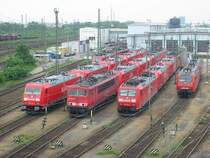 Hier sind ein paar Loks n�her zusehen ganz links leicht zusehen die 485-001 der BLS Cargo daneben eine 185 dann eine 185 dahinter eine 155 dann die 185-212 dahinter noch 5 andere 185er. Dann die 155-167 dahinter ebenfalls 5 185er. Daneben die 185-035 dahinter 2x185 und noch eine 140. Zum schluss noch die 145-054 und dahinter noch einer 185.