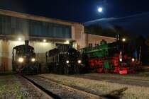 DT 1.07 vom Eisenbahnmuseum Strasshof, 331.037 aus der Slowakei, und die ungarische Gastlok 109.109 vom Lokopark Budapest, aufgenommen am 3.10.2009 in Strasshof anl�sslich der langen Nacht der Museen.