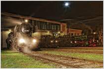 Zum bereits zehnten Mal fand am Samstag, dem 3. Oktober 2009, die auf Initiative des ORF-Marketings ins Leben gerufene „ORF-Lange Nacht der Museen“ in ganz �sterreich sowie in Liechtenstein, Slowenien und der Slowakei statt. In der Zeit von 18.00 bis 1.00 Uhr Fr�h pr�sentierten rund 650 Museen, Galerien und Kulturinstitutionen ihre Sammlungen und stellten damit einen neuen Rekord auf. Auch der 1. �SEK �ffnete an diesem Abend seine Pforten im Eisenbahnmuseum Strasshof. Von links nach rechts: 52.4984  Eberhard  der VdEA (Verband der Eisenbahn-Akademiker), in deren Besitz sie sich seit dem Verkauf der �BB befindet, DT 1.07 (damals und heute noch liebevoll Dorftrottel genannt) vom Eisenbahnmuseum Strasshof, 331.037 aus der Slowakei, und die ungarische Gastlok 109.109 vom Lokopark Budapest. Der Effekt am Foto wurde mit einem Tonal Contrast Filter erzielt.