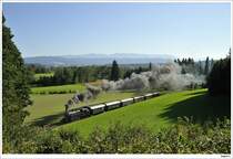 �GEG-Dampflok 77.28 f�hrt auf der Museumsstrecke von Timelkam nach Ampflwang. 4.10.2009.
