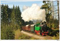 �GEG-Dampflok WTK4 (ex. �BB 392.2530) f�hrt auf der Museumsstrecke von Timelkam nach Ampflwang. 4.10.2009.