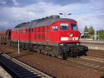 233 321-9 wartet an einem Roten Signal auf ausfahrt in Berlin Sch�nefeld Flughafen am 9.5.05