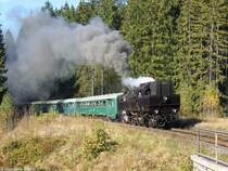 Mit herrlichen Auspfuffschl�gen und einer wunderbaren Dampffahne verl�sst 354 195 am 26.09.2009 die Ortslage von Potucky und befindet sich jetzt in der Steigung zum Bahnhof Horny Blatna (ehem. Bergstadt Platten). Die Aufnahme ist ebenfalls im Modelleisenbahner 11/09 auf Seite 8 zu finden.