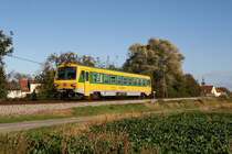 17.10.08 Viele denken, dass das Schweinbarter Kreuz nichts abwechslungsreiches zu bieten hat. Der hat sich aber geirrt! Es verkehren zwar nur Triebw�gen der Baureihe 5047, doch diese m�ssen ja nicht unbedingt das Einheitskleid der �BB tragen. Auch die GySEV Version verschl�gt es einmal hier her. Der 5047 502 als R 7245 von Gro� Schweinbarth nach Obersdorf.