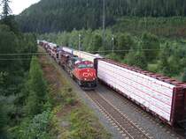 Bergw�rts fahrender G�terzug mit drei Loks passiert an der Ausweichstelle am Thompson River, N�he Blue River/British Columbia wartenden Gegenzug mit einer Zwischenlok am 22.08.2008