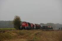 294 650 am 23.10.2009 bei Hirschau im Nebel