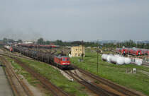 233 662 am 28. August 2009 in M�hldorf Oberbayern. Gru� an den Tf!