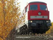 Beim Warten auf Maxima in der N�he von Hof brummt es auf einmal von hinten. Aus dem Herbstlaub kommt die 232 457 mit einer langen Leine nach Sachsen. Foto vom 28.10.2009.