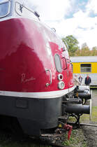 Mit dem Blick f�rs Detail:  Roswitha  alias V 200 017 (Augsburg, 25.10.2009)