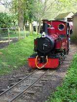 Schwere Dampflokomotive die f�r den Transport von Touristen im Longleat Safari Park zum Einsatz kommt. Ist im Film Harry Potter and the Prisoner of Longleat vorgekommen. Weitere Informationen zu dieser eigenartigen Eisenbahn unter http://www.longleat.co.uk/attractions/longleat-railway.html. Ist wirklich einen Ausflug wert!