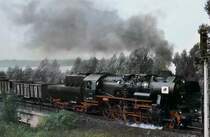 52 8131 vom Bw Brandenburg, auf dem s�dlichen Berliner Au�enring im Jahre 1969, von Potsdam kommend. Der Zug hat gerade die Havelbr�cken passiert. Auf dem Windleitblech ist die DDR-Flagge,
zum 20. Jahrestag ihrer Gr�ndung, angebracht!