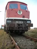 Eigentlich glaubt man das H0 schon gro� im Modell ist,doch gegen�ber dem Vorbild ist H0 doch noch simlich klein.Meine H0-Ludmila 132 256 vor der Vorbild 232 397. 