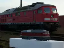 Vorbild 232 342 und ROCO`s Ludmila 132 256.