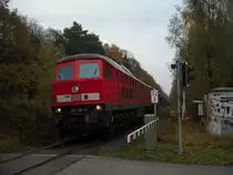 BR 232 703  Ludmilla  ist in Doppel- und Sandwichtraktion von Rostock nach Wismar unterwegs. Wegen Gleiserneuerungen zwischen Wismar und Bad Kleinen wurden einige G�terz�ge �ber Rostock umgeleitet. 
Hier am 13.11.09 am Bahn�bergang Tannenweg