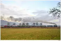 Dampflok 88.103 mit einem Krampuszug von Weizelsdorf nach Ferlach. N�he Laiplach, 28.11.2009.