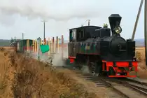 Ein G�terzug gezogen von Lok Nr. 4  Setskogen  hat Einfahrt in den Bahnhof Fossum; 29.11.2009