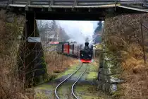 Ein Personenzug gezogen von Lok Nr. 7  Prydz  auf dem Weg von S�rumsand nach Fossum; 29.11.2009