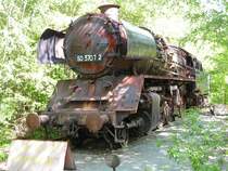 Berlin,Naturpark Sch�neberger S�dgel�nde,ehemals gr�sster Rangierbahnhof Europas.(1920-1980)Hier sind noch einige Relikte aus der Eisenbahnvergangenheit zu sehen.z.B.eine Dampflok der BR 50 eine Drehscheibe,ein Wasserturm und vieles mehr.Bln.26.05.05
