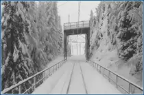 Schutzger�st unterhalb der Sesselbahn Berg�n - Darlux. (01.12.2009)