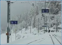 Tiefverschneites Berg�n/Bravuogn. (01.12.2009)