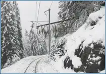 Das war knapp, die Tanne ist noch nicht ganz wegger�umt und schon f�hrt der erste Zug wieder �ber die Albulalinie unterhalb von Berg�n. (01.12.2009)
