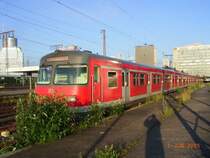 Mehrere ET420, die im Essener Hbf auf ihren n�chsten Einsatz waten, strahlen in der Sonne. Im Vordergrund 420 360.
Dummerweise steht die Sonne noch so tief, dass sich der Schatten des Fotografen nicht verhindern lies. :-(