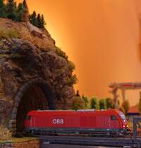 F�r den Grenz�berschreitenden Verkehr f�hrt 2016 063-6 der �BB von Piko, war bereits beim Kauf digitalisiert.