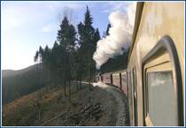 Die Wetterprognosen im Hotel haben sich bewahrheitet. Nach dem gestrigen Regenwetter erwartet uns ein strahlend sch�ner Tag mit ein paar Nebelfetzen rund um den Brocken. Oberhalb von Steinerne Renne erfasst uns der erste Sonnenstrahl. (07.12.2009)
