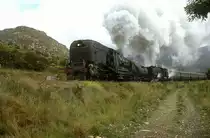 GMAM-4122 + GL-2351  bei Camfer  30.08.01