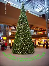 Ich w�nsche allen ein frohes und gesundes Weihnachtsfest und alles Gute im Neuen Jahr!