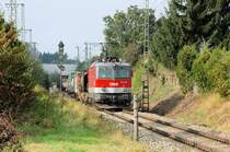 1144 208 am 19.09.09 am B� Xaver-Weismor-Stra�e in M�nchen-Trudering