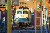 In der sch�nsten Sonne aber leider im letzten Eck im BW Bebra stand am 26.12.2009 die 140 423-5. Ich bin so froh, diese Lok nochmal abgelichtet haben zu k�nnen. Zur Freischaltung: Fotostandort: 9/10 mit Tele!