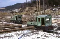 E2 + E3  Waldbahn Yabuli  im S�gewerk Hengdachezi  29.03.99