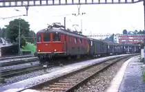 10027  Schaffhausen  23.07.87