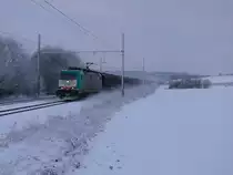 Nach fast einer Stunde Warten bei minus 6 Grad bog 2831 endlich auf die lange Gerade bei Warsage kurz vor Vis�. Aufgenommen am 03/01/2010.