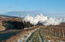 52.4984 bef�rdert den SR 16061 an einem windigen, kalten Morgen Richtung S�den. Die Aufnahme entstand in den Weinbergen zwischen Gumpoldskirchen und Pfaffst�tten am 03.01.2010.