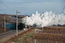 52.4984 bef�rdert den SR 16061 an einem windigen, kalten Morgen Richtung S�den. Die Aufnahme entstand in den Weinbergen zwischen Gumpoldskirchen und Pfaffst�tten am 03.01.2010.