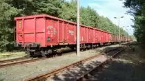 offene G�terwagen auf der W�ST am ehem. Heizwerk Finow 22.09.2009